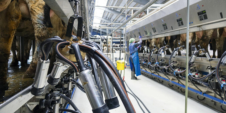 GROUPE WENDIT sectreur d'activité agriculture